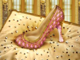 A shoe for a princess Picture